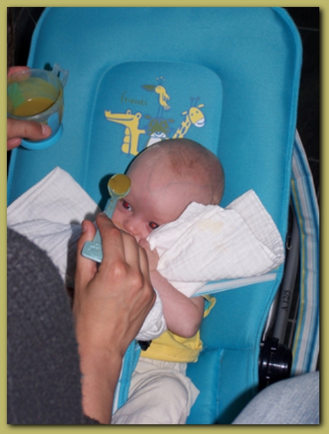 449x598 pixels (184K)